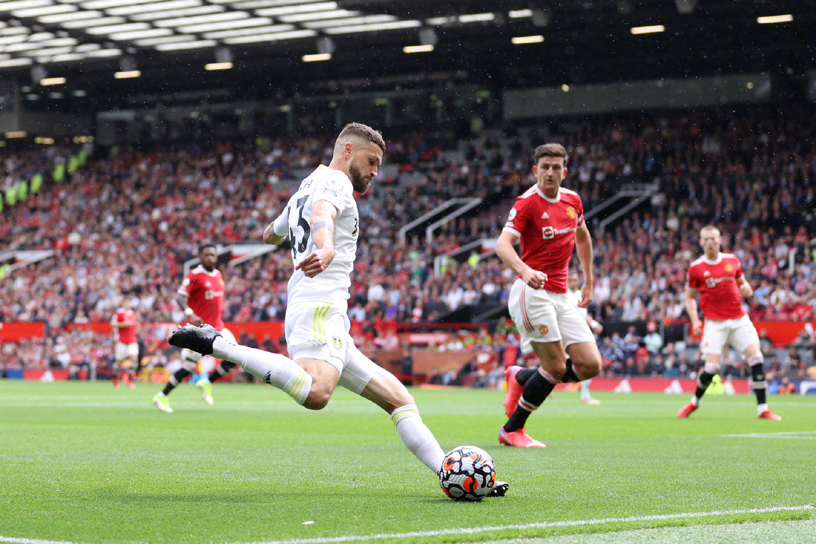 是导致率先 是导致率先